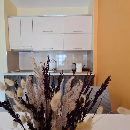 Amara * Vlorë